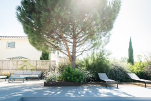 photographe entreprise Lyon - Fracois Xavier Driant - reportage photo